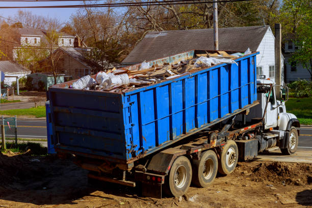 Yard Cleanup Services in Gainesville, VA