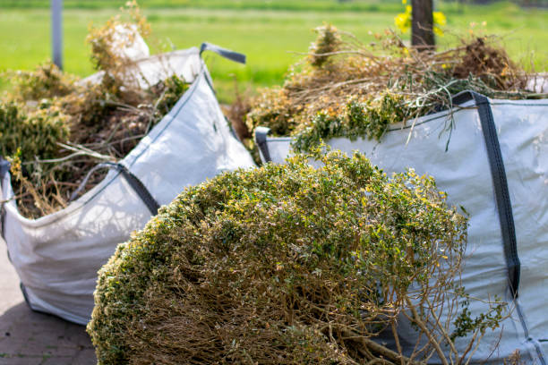 Best Local Junk Hauling  in Gainesville, VA